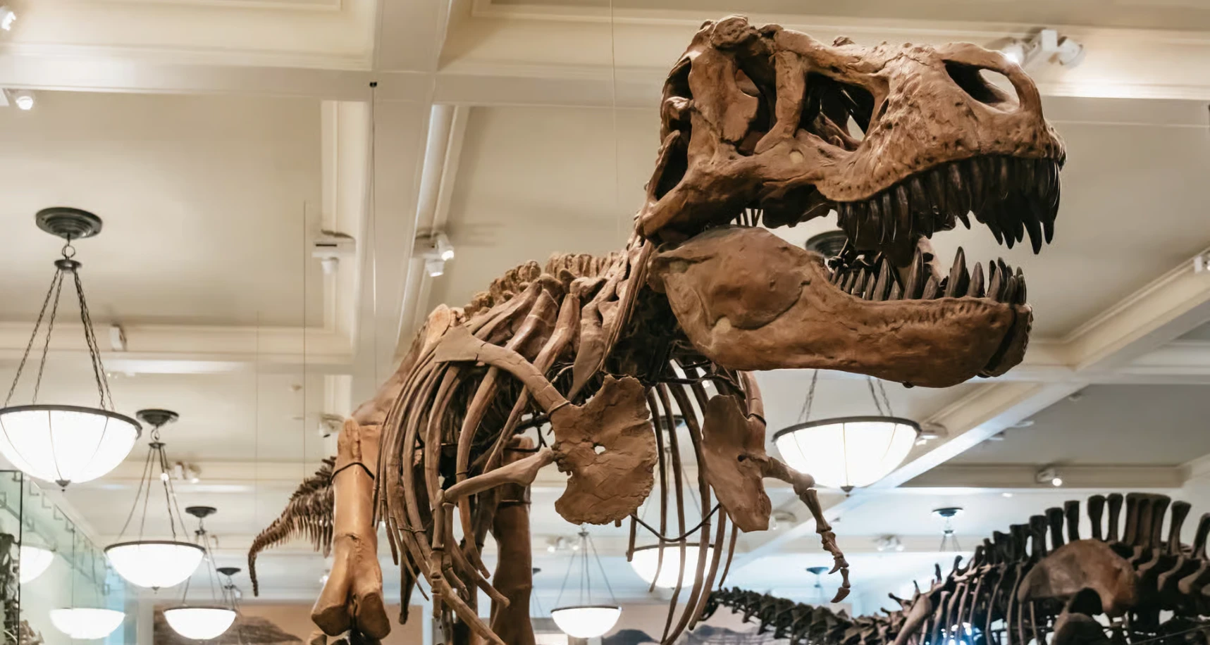 American Museum of Natural History NYC tickets